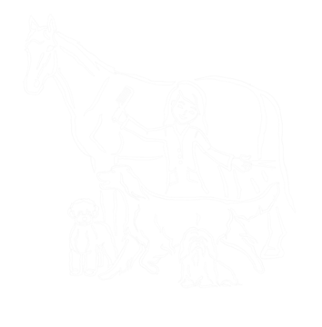 SugarDough